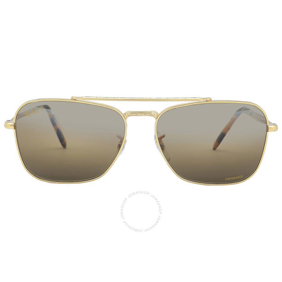 RAY BAN Ray In Brown / Dark / Gold Product Image