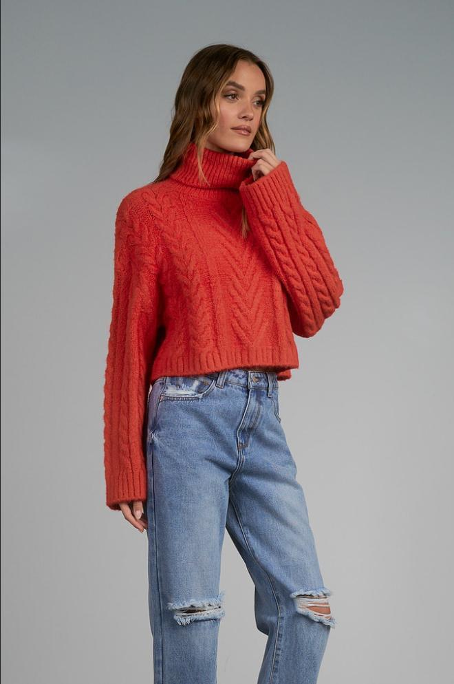 Katrina Turtleneck Sweater Product Image