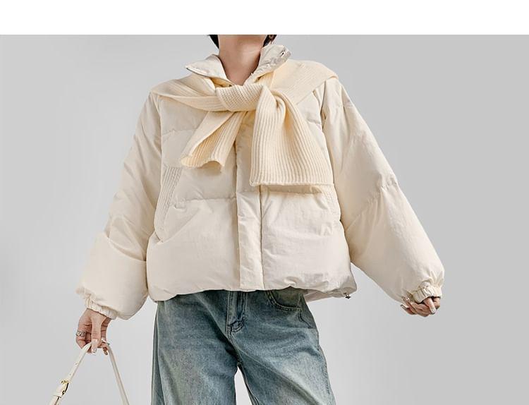 Plain Zip Puffer Jacket Product Image