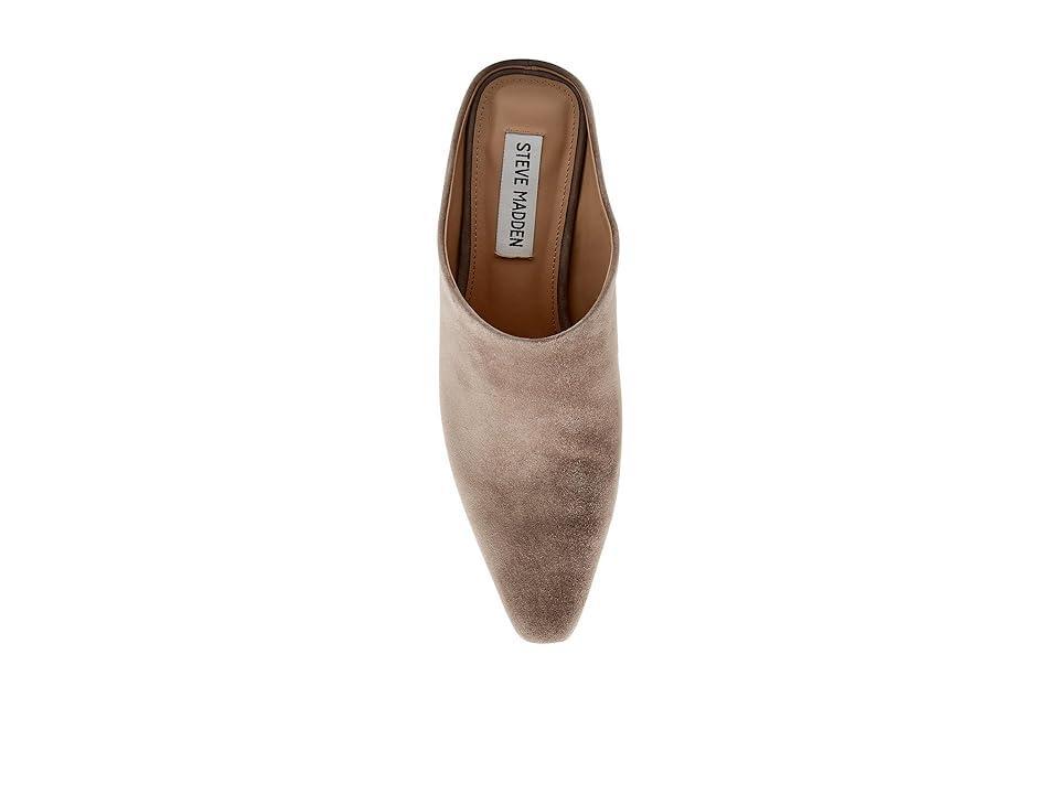 Steve Madden Davie Suede) Women's Slippers Product Image