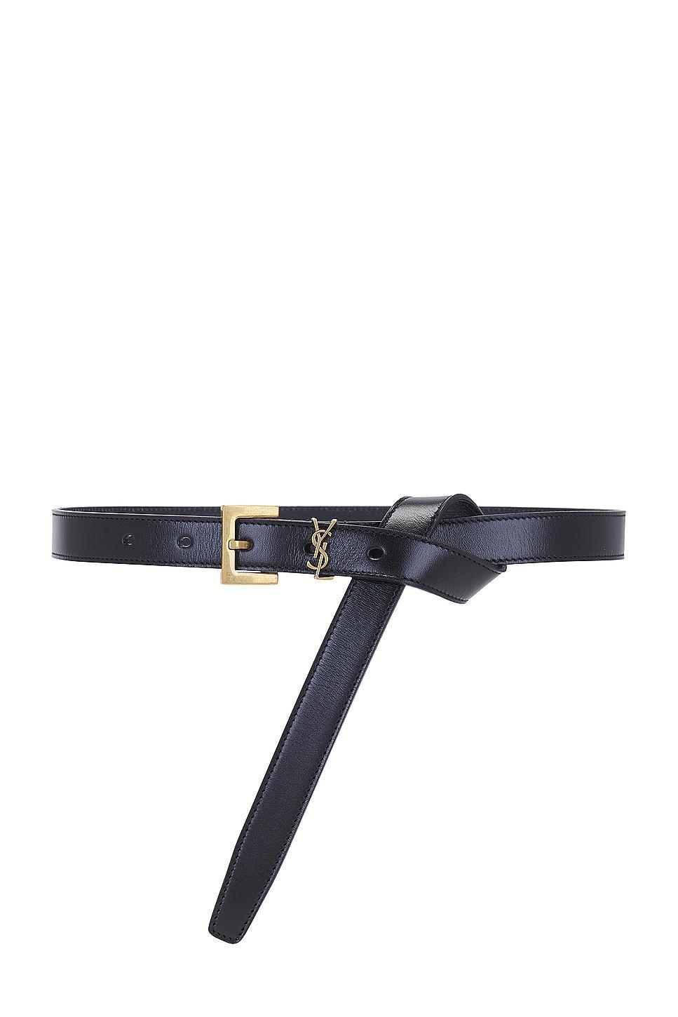 Skinny Cassandre Long Belt Product Image