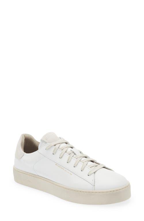 AllSaints Shana Low Top Sneaker Product Image