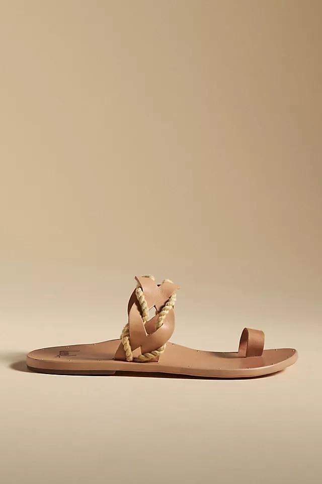 beek Treepie Sandals Product Image