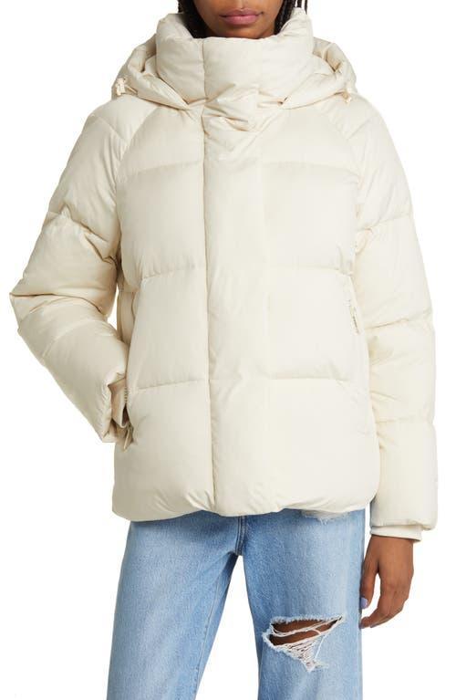 levis Hooded Puffer Jacket Product Image