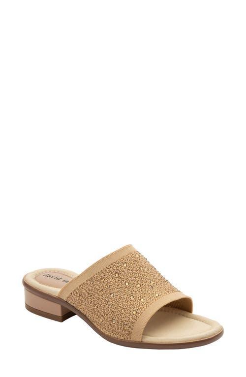 David Tate Premium Slide Sandal Product Image