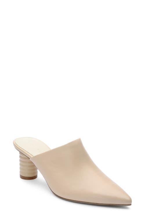 Sanctuary Swag Pointed Toe Mule Product Image