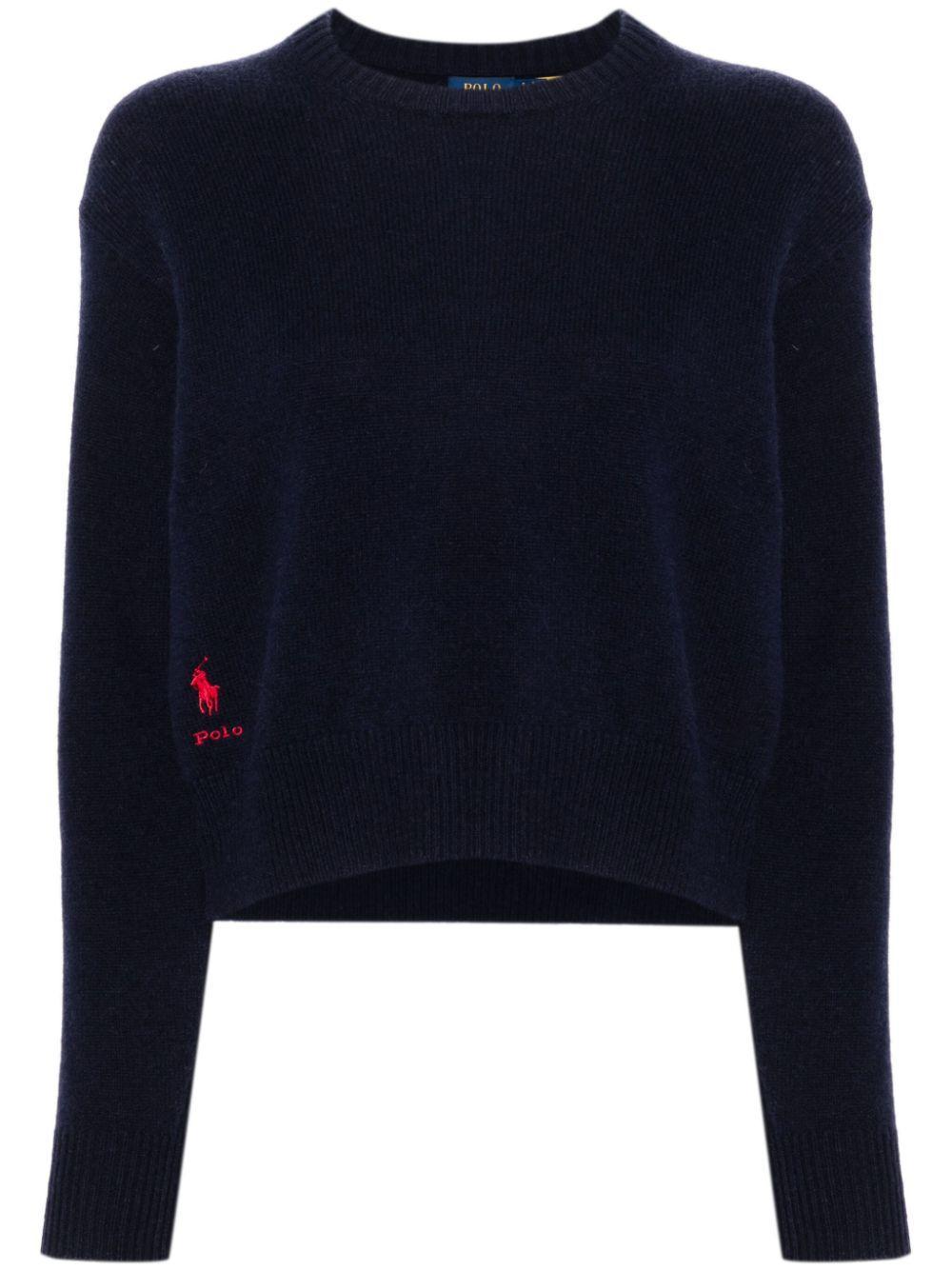 POLO RALPH LAUREN Logo Embroidery Sweater In Blue Product Image