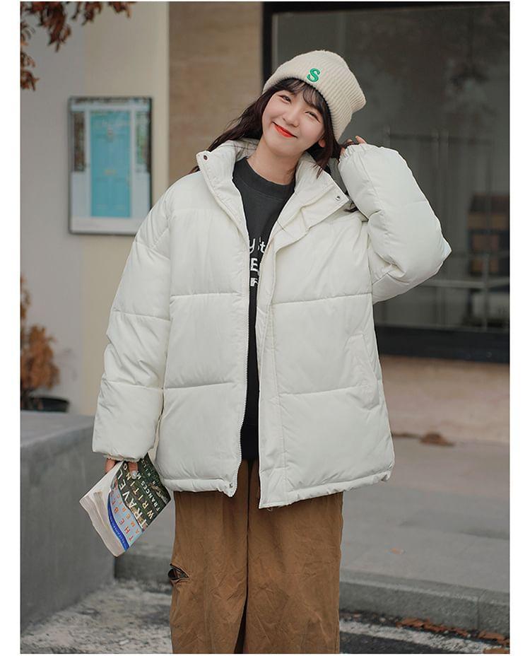 Stand Collar Plain Zip-Up Puffer Jacket Product Image