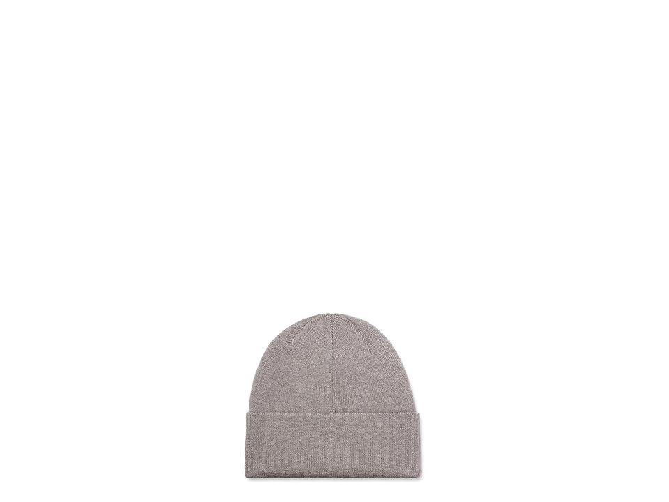 UGG 3-D Logo Beanie (Light Grey) Beanies product image