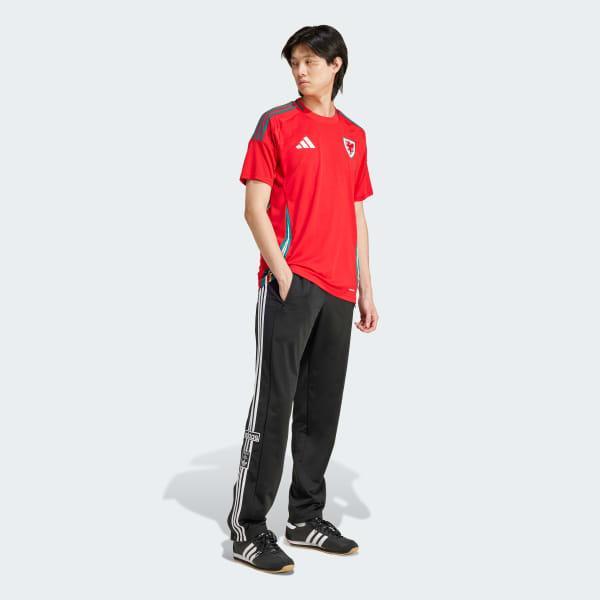 Wales 24 Home Jersey Product Image