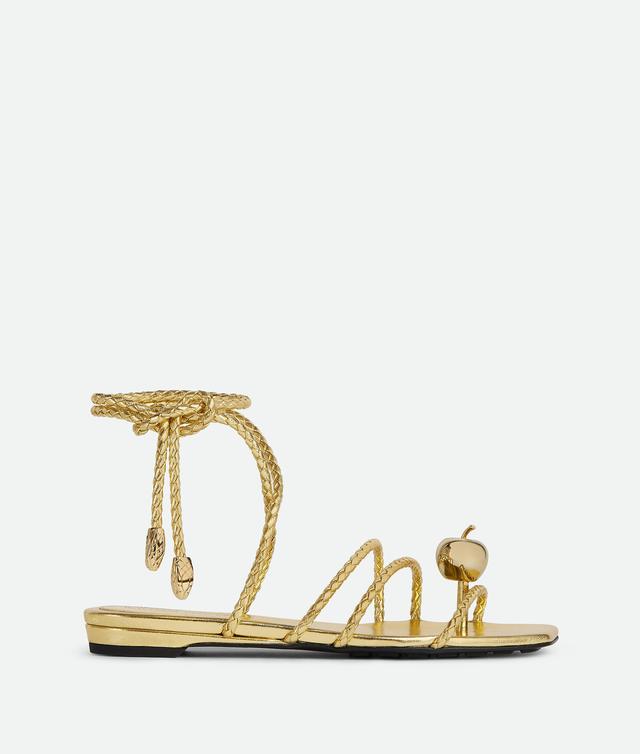 Women's Adam Flat Sandal in Gold Product Image