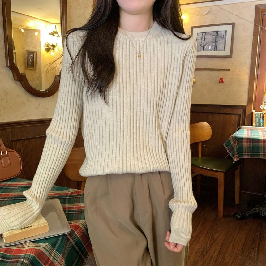 Crew Neck Plain Ribbed Knit Sweater Product Image