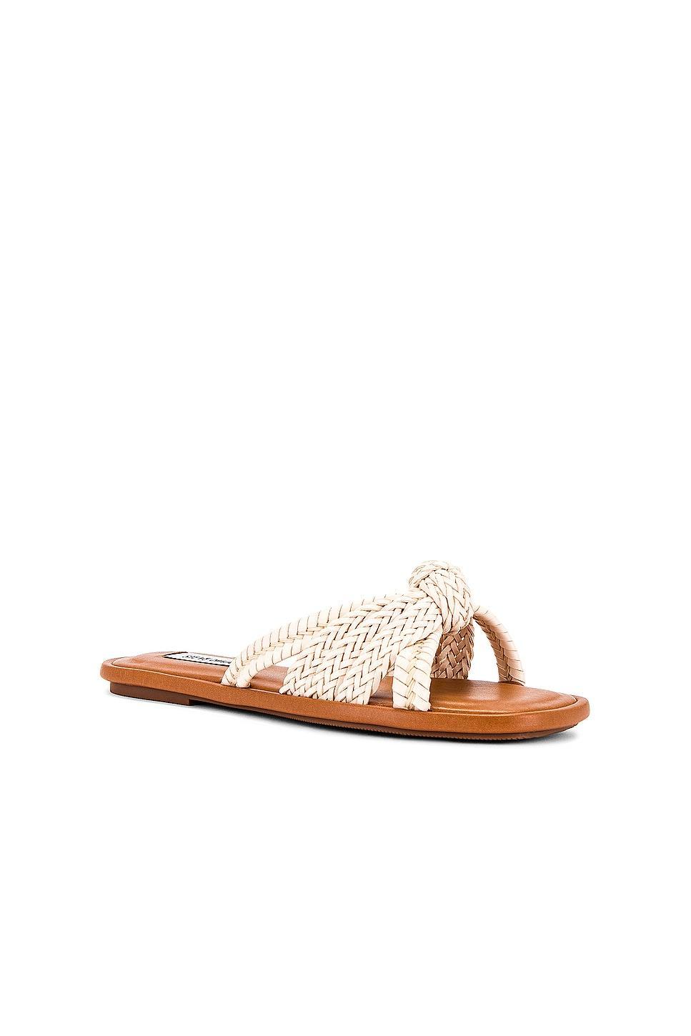 Kandace Sandal Steve Madden Product Image