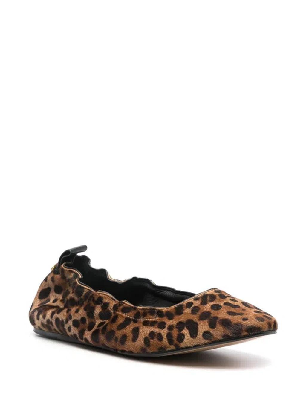 ISABEL MARANT Leopard-print Ballerina Shoes In Leopard Print Product Image