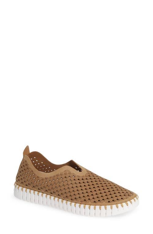 Ilse Jacobsen Tulip 139 Perforated Slip-On Sneaker Product Image