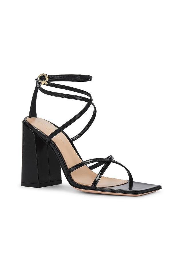 Gianvito Rossi Strappy Sandal in Black Product Image