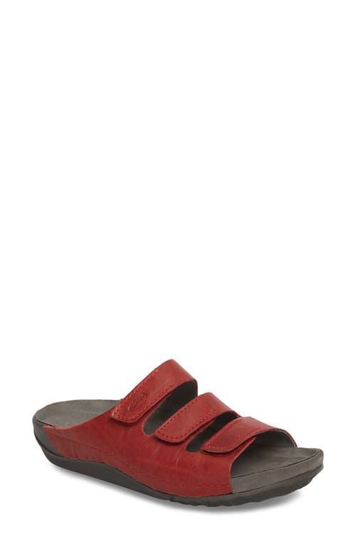 Wolky Nomad Slide Sandal Product Image