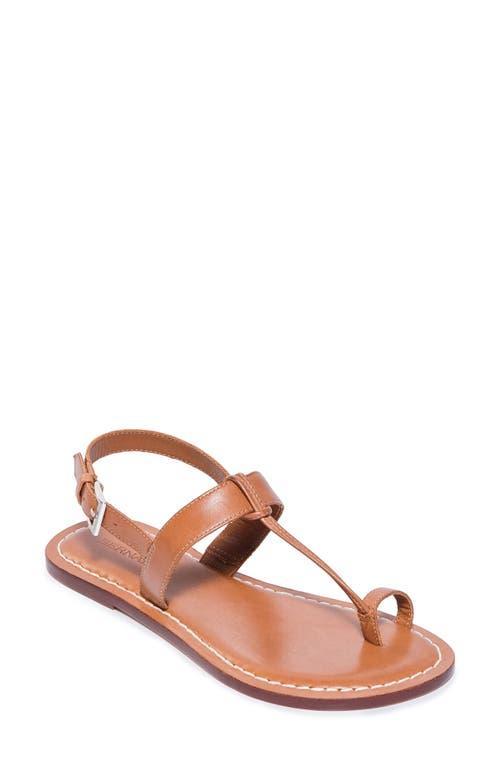 BERNARDO FOOTWEAR Maverick 2 Toe Loop Sandal Product Image