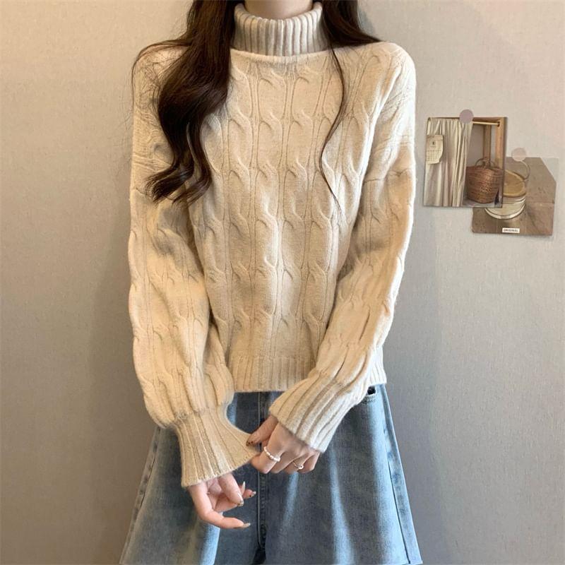 Turtleneck Plain Cable Knit Sweater Product Image