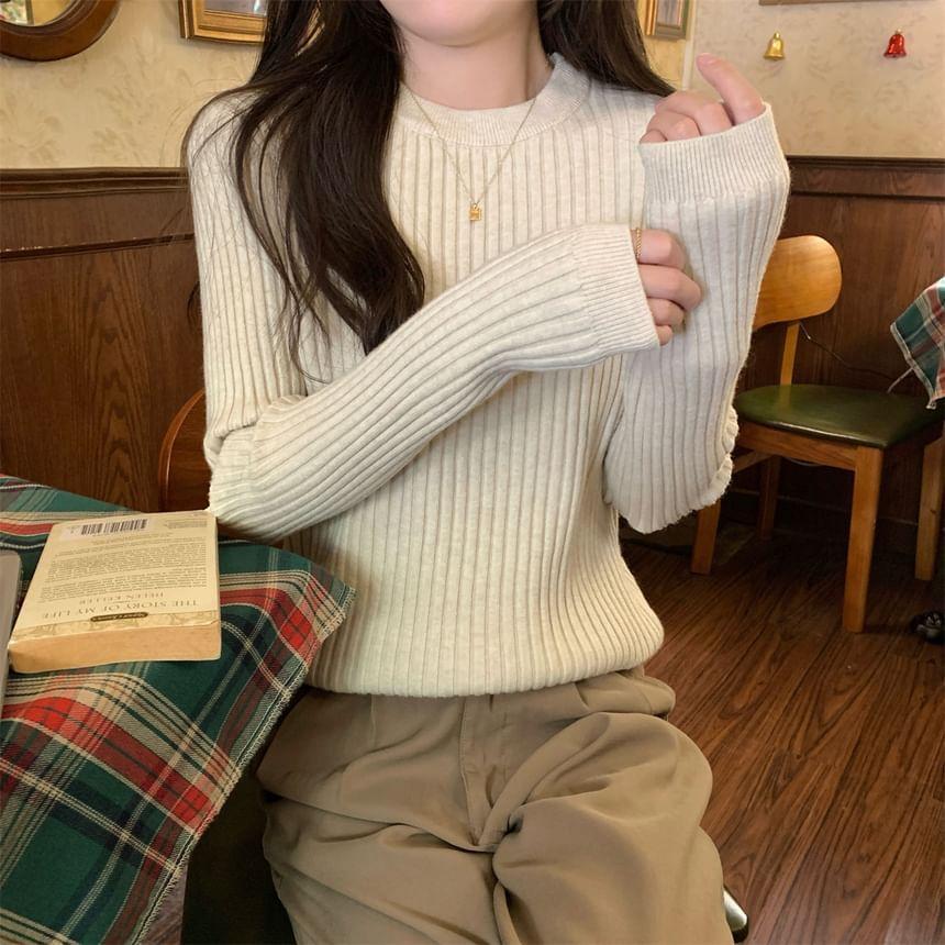 Crew Neck Plain Ribbed Knit Sweater Product Image