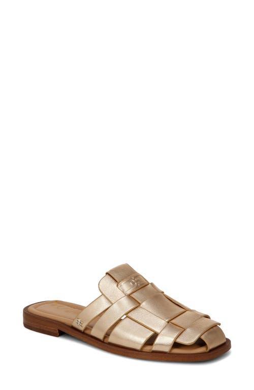 Sam Edelman Dina Quartz) Women's Shoes Product Image