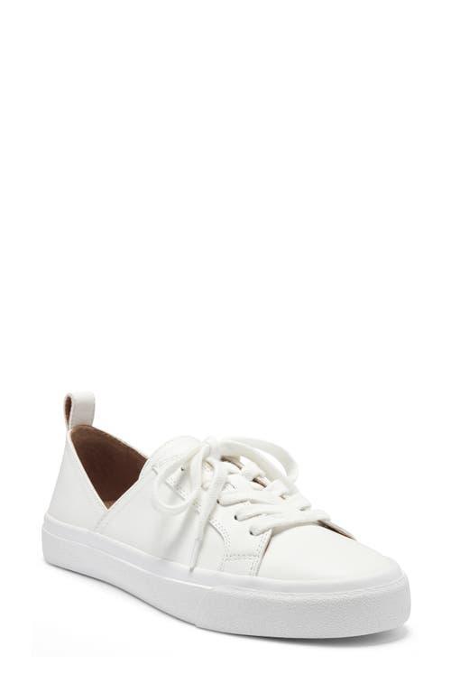 Lucky Brand Dansbey Sneaker Product Image