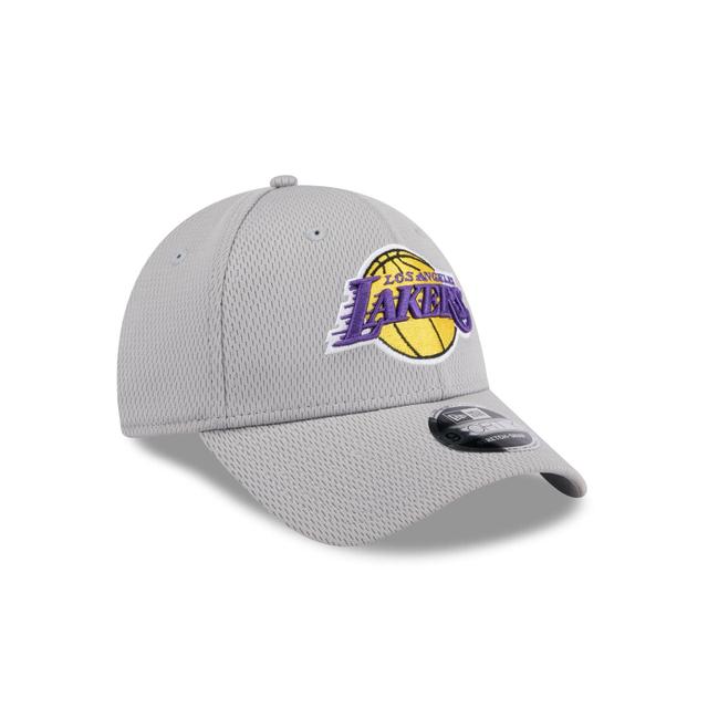 Los Angeles Lakers Gray 9FORTY Stretch-Snap Hat Male Product Image