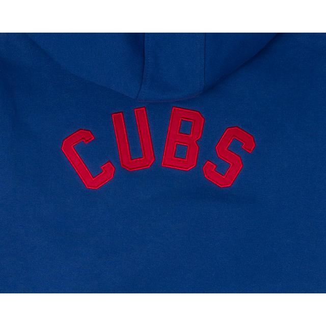 Alpha Industries X Chicago Cubs Zipper Hoodie Male Product Image