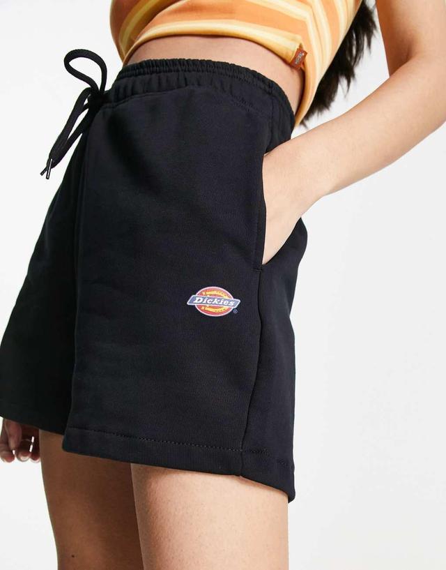 Dickies mapleton jersey shorts Product Image