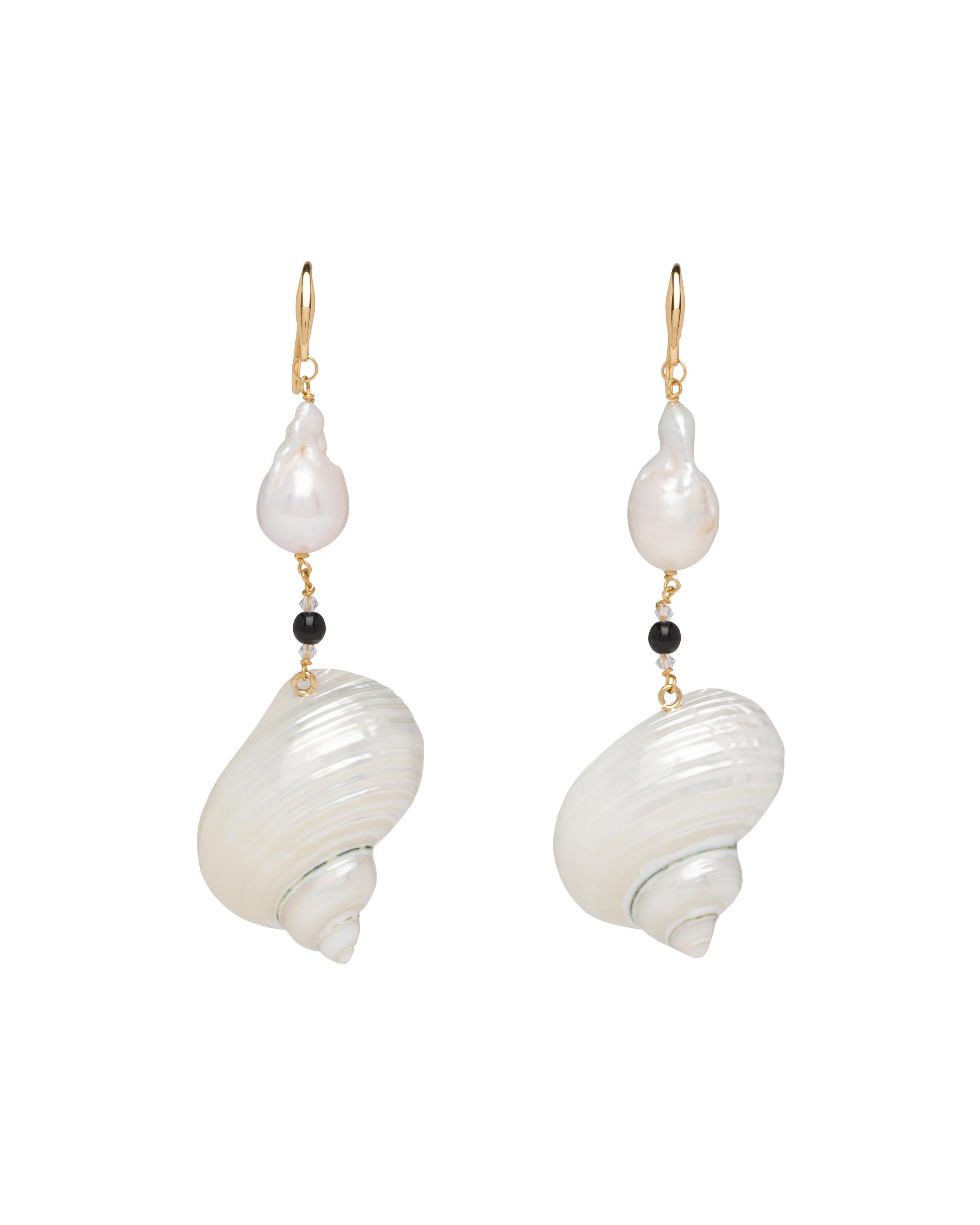 Silver earrings with shells Product Image