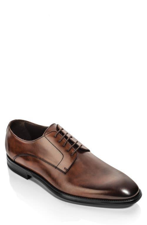 To Boot New York Amedeo Derby Product Image