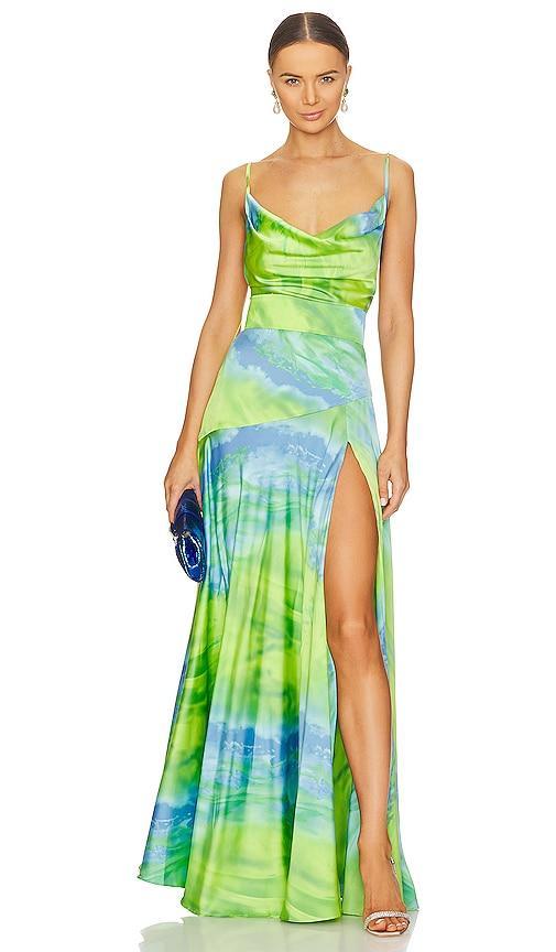 x Revolve Leo Maxi Dress Product Image