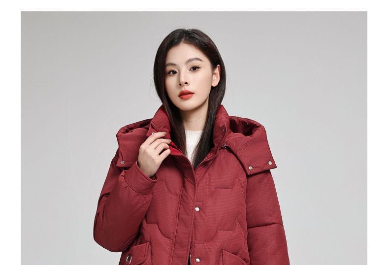 Plain Hooded Zip Jacket Product Image