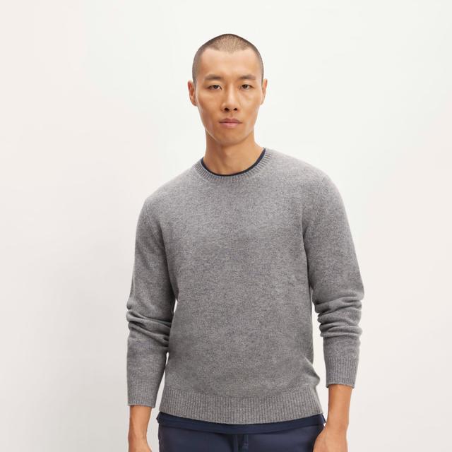 Mens Premium Merino Crew Neck Sweater by Everlane Product Image