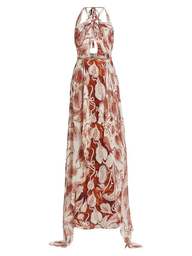 Womens Rito Printed Chiffon Maxi Dress Product Image