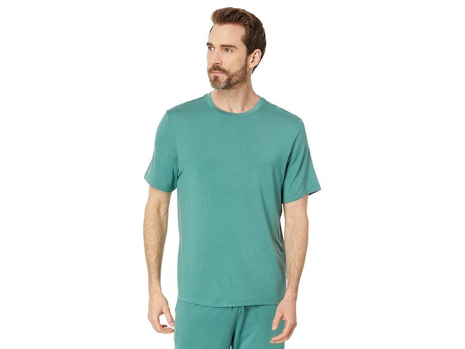 Eberjey Henry Shorts Pj Set (Agave) Men's Pajama Sets Product Image