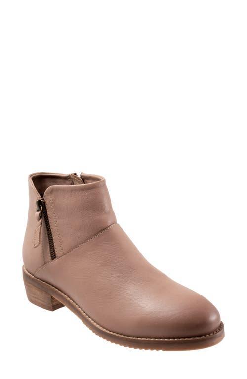 SoftWalk Roselle Ankle Boot Product Image