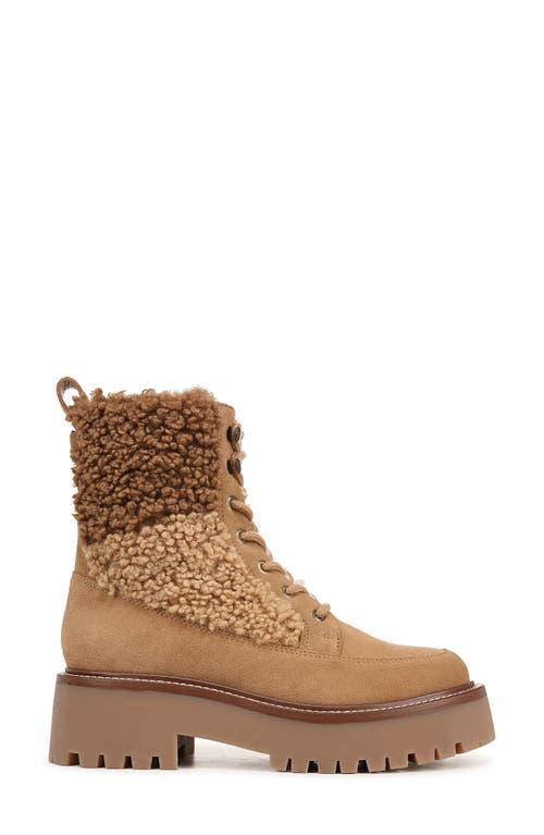 SAM EDELMAN Elliot Combat Boot Golden Caramel Suede In Brown Product Image