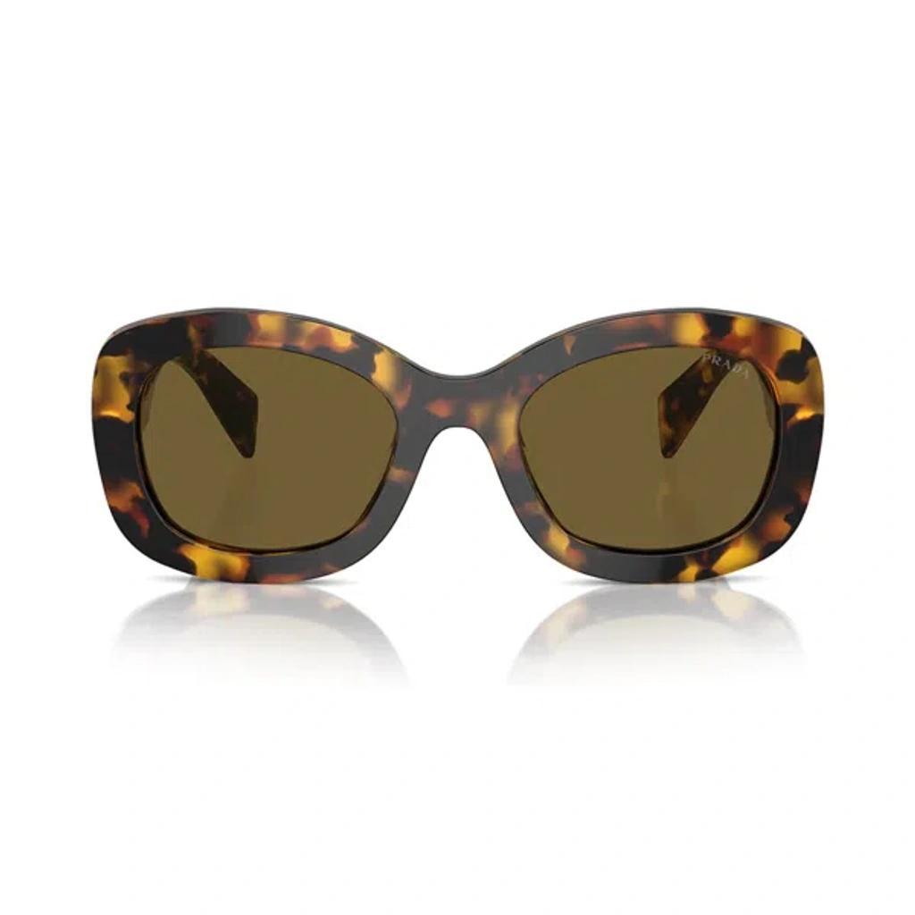 Sunglasses In Marrone/marrone Product Image