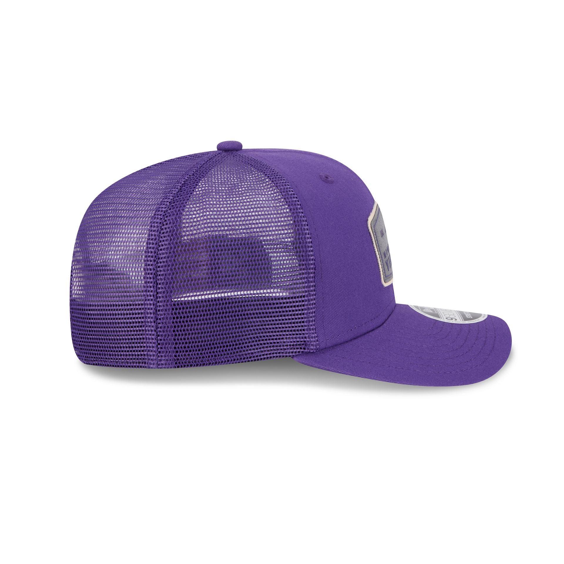 Minnesota Vikings Labeled 9SEVENTY Stretch-Snap Hat Male Product Image