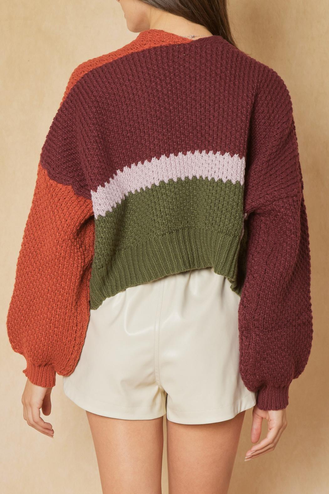 Cropped Colorblocked Cardigan Product Image