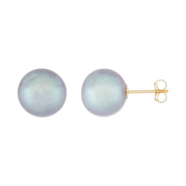 14k Gold 10 mm Freshwater Cultured Pearl Stud Earrings, Womens, Gray Product Image