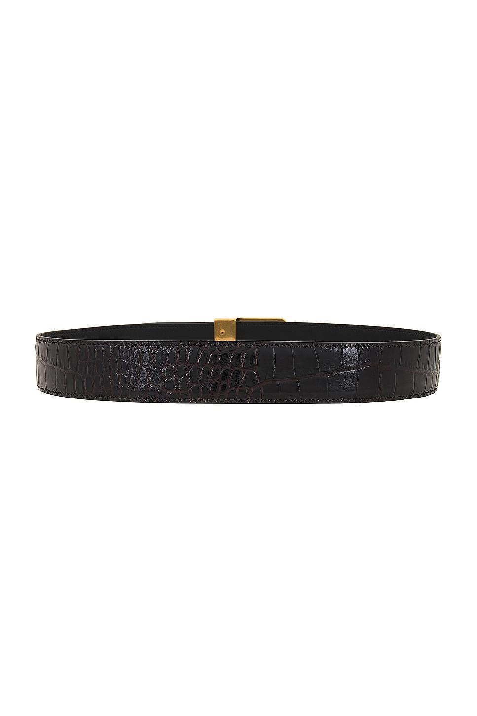 Saint Laurent Female Buckle Belt in Chocolate Product Image