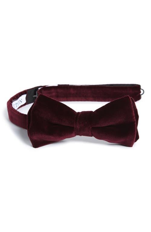 Mens Velvet Pre-Tied Bow Tie Product Image