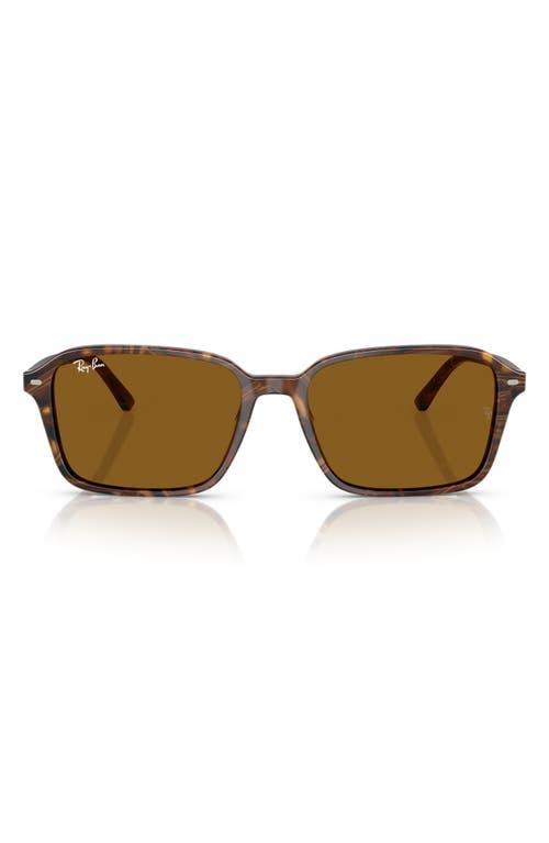 RAY BAN Ray-ban 58mm Square Sunglasses In Green Product Image