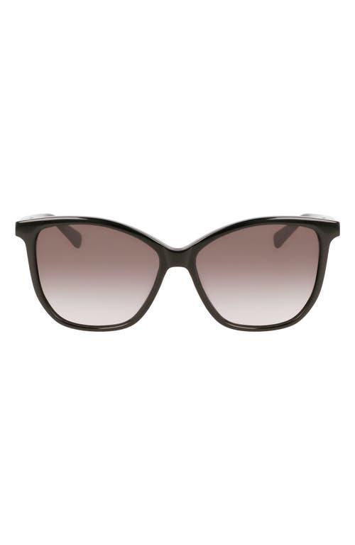 Quay Australia Womens Call The Shots 43mm Cat Eye Sunglasses Product Image