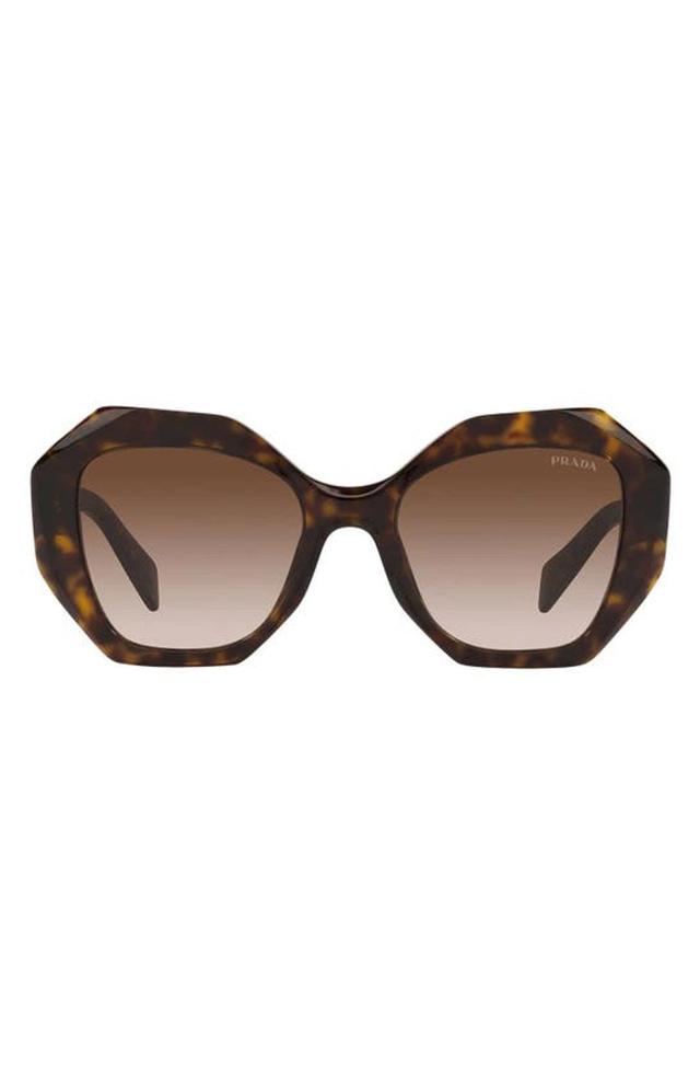 Oversize-frame Gradient Sunglasses In Tortoise Product Image