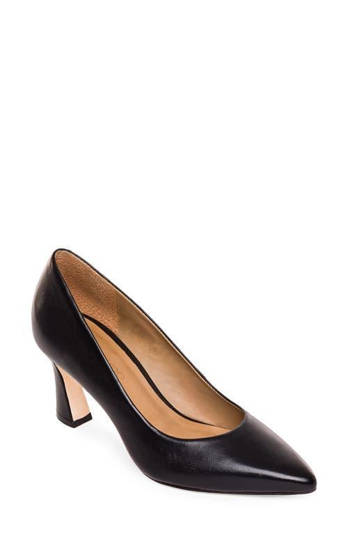 BERNARDO FOOTWEAR Faryn Pointed Toe Pump Product Image