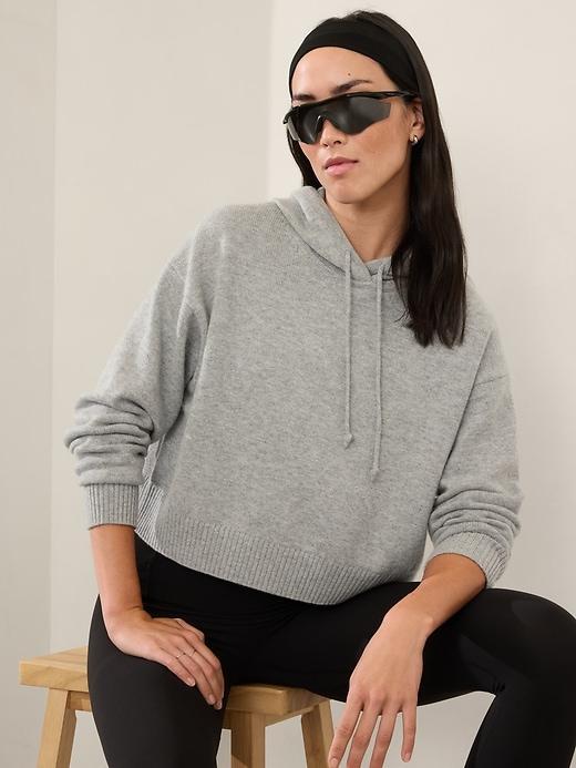 Alpine Cropped Hoodie Sweater Product Image