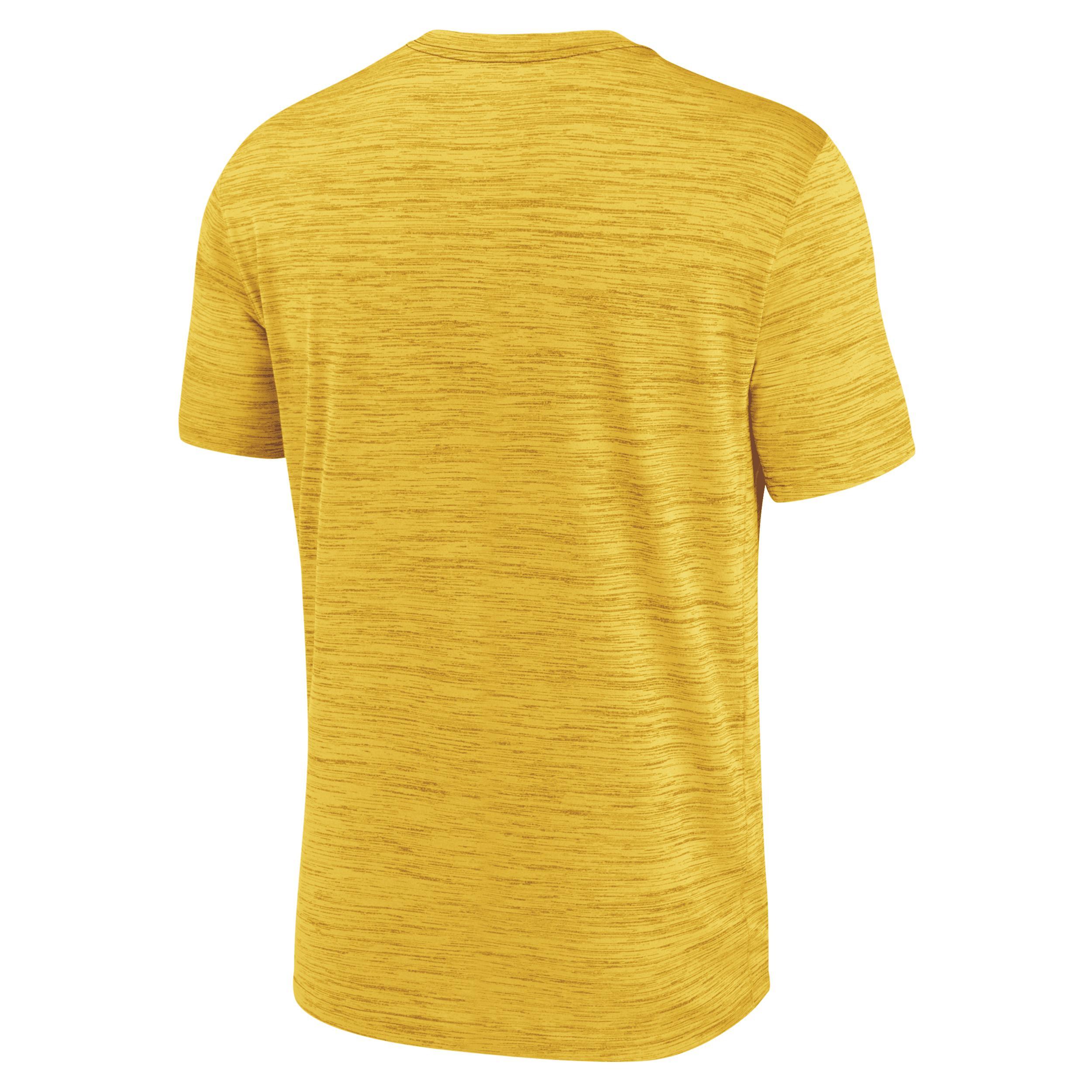 Nike Mens Gray Pittsburgh Steelers 2024 Sideline Velocity Performance T-Shirt Product Image